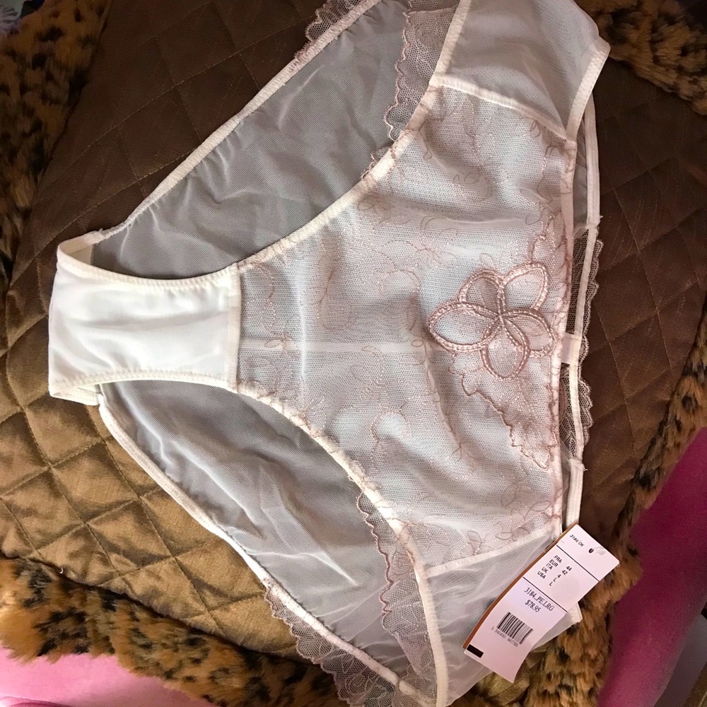 Chantelle Mesh and Lace Panty NWT